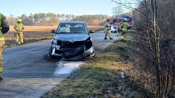 Wypadek między Domaszowicami a Siemysłowem. Samochód osobowy wpadł do rowu