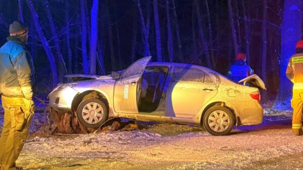 Wypadek w Masowie. Taksówka uderzyła w drzewo, na miejscu pracowały służby