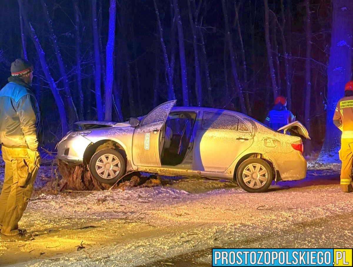 Wypadek w Masowie. Taksówka uderzyła w drzewo, na miejscu pracowały służby