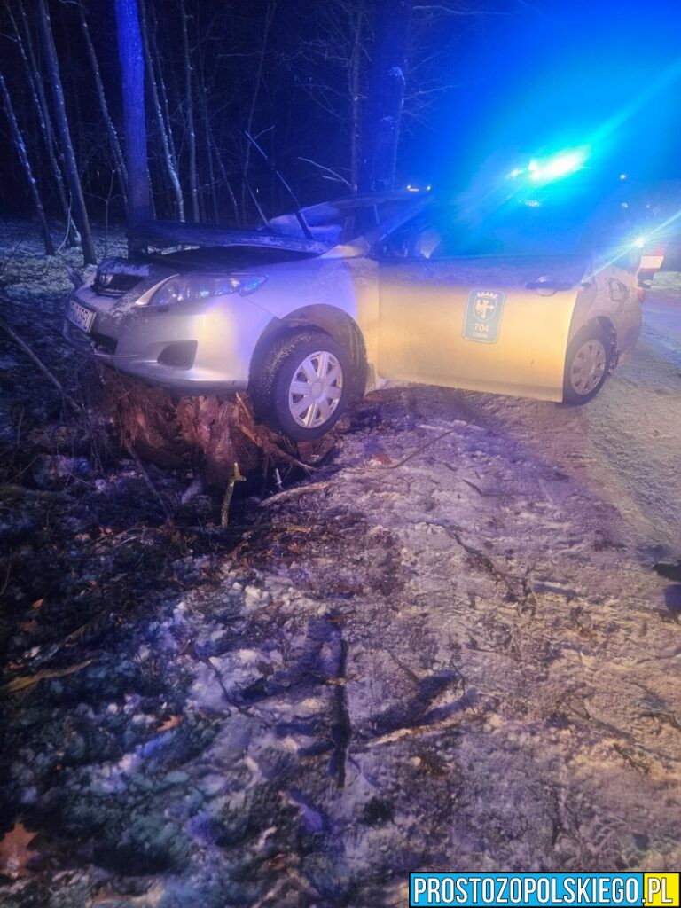 wypadek taksówki, wypadek masów, wypadek gmina łubniany, wypadek koło&nbsp;masowa, taksówka uderzyła w&nbsp;drzewo, wypadek taksówki, kierował obcokrajowiec,