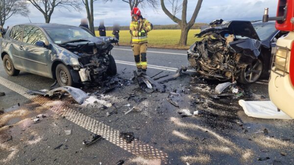 Czołowe zderzenie na DK94 między Strzelcami Opolskimi a Suchą. Jedna osoba ranna