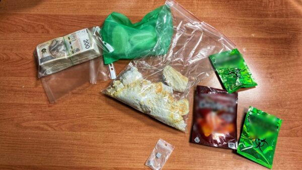 Policja zabezpieczyła 600 gramów narkotyków i 56 tys. zł w Opolu