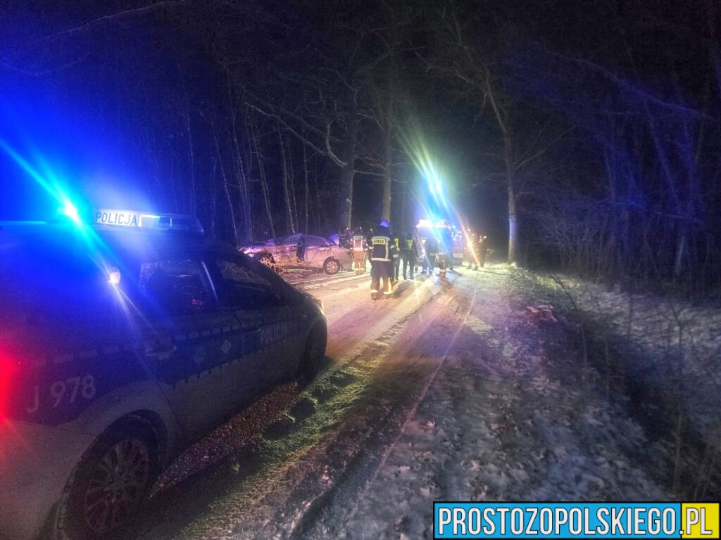 wypadek taksówki, wypadek masów, wypadek gmina łubniany, wypadek koło&nbsp;masowa, taksówka uderzyła w&nbsp;drzewo, wypadek taksówki, kierował obcokrajowiec,