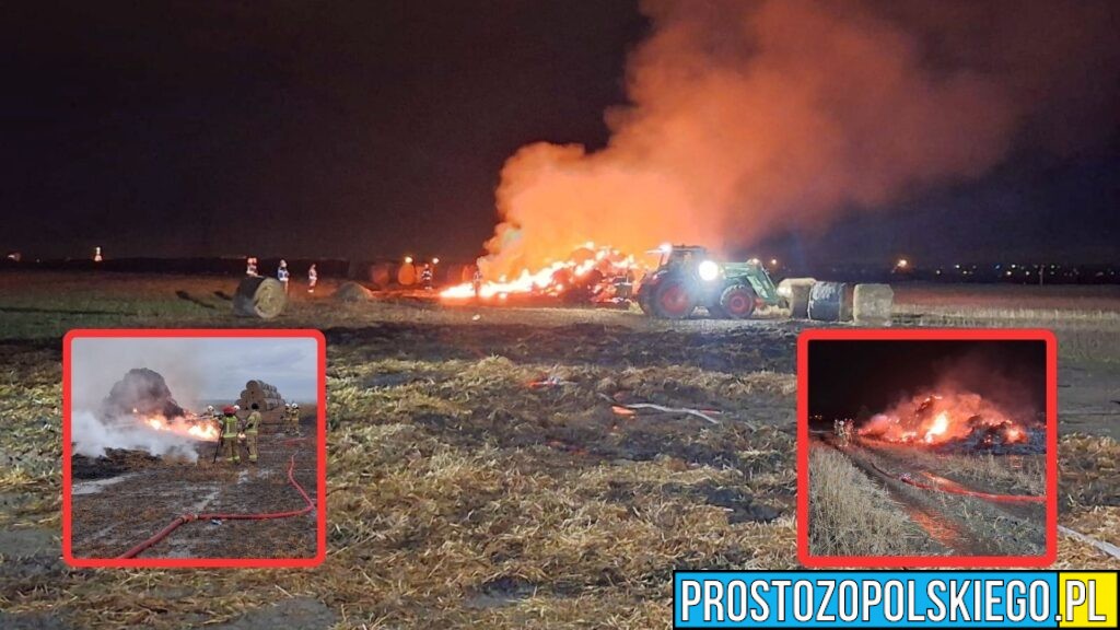 Seria pożarów pod Opolem. Czy to sprawka podpalacza?