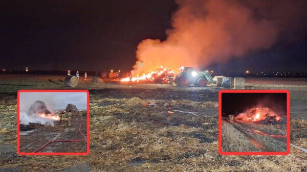 Seria pożarów pod Opolem. Czy to sprawka podpalacza?