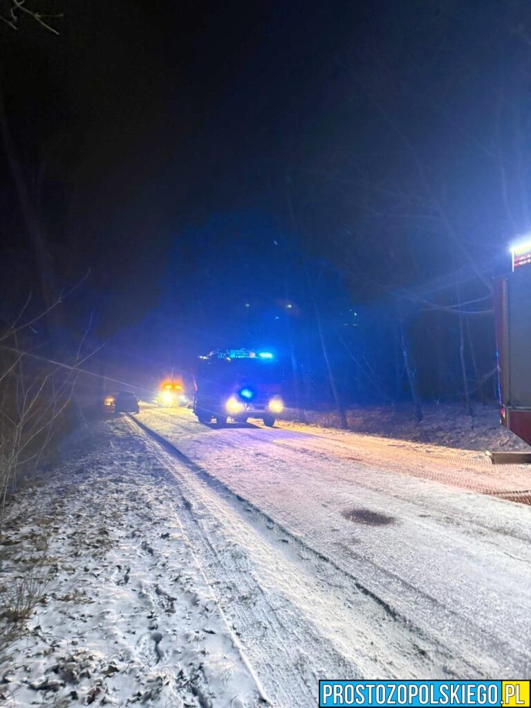 wypadek taksówki, wypadek masów, wypadek gmina łubniany, wypadek koło&nbsp;masowa, taksówka uderzyła w&nbsp;drzewo, wypadek taksówki, kierował obcokrajowiec,