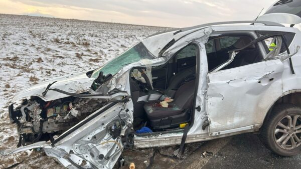 Dramat na DK 41. Nie żyje mieszkanka gminy Nysa. Policjanci wyjaśniają okoliczności wypadku