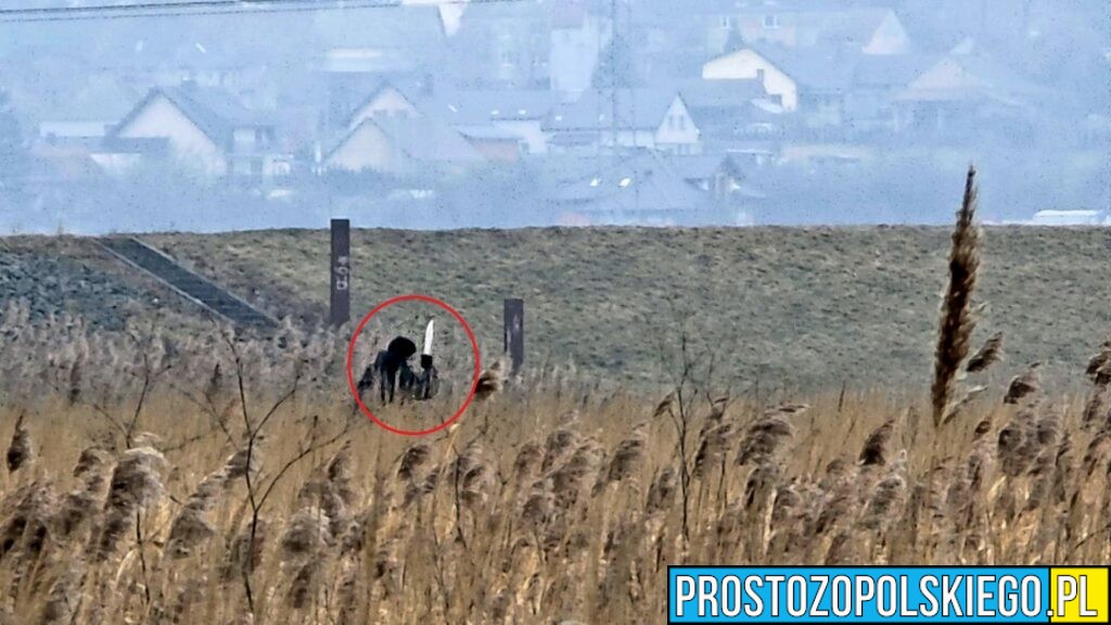 Niepokojące nagranie z Wyspy Bolko w Opolu. Mężczyzna z nożem na wałach – interweniowała policja
