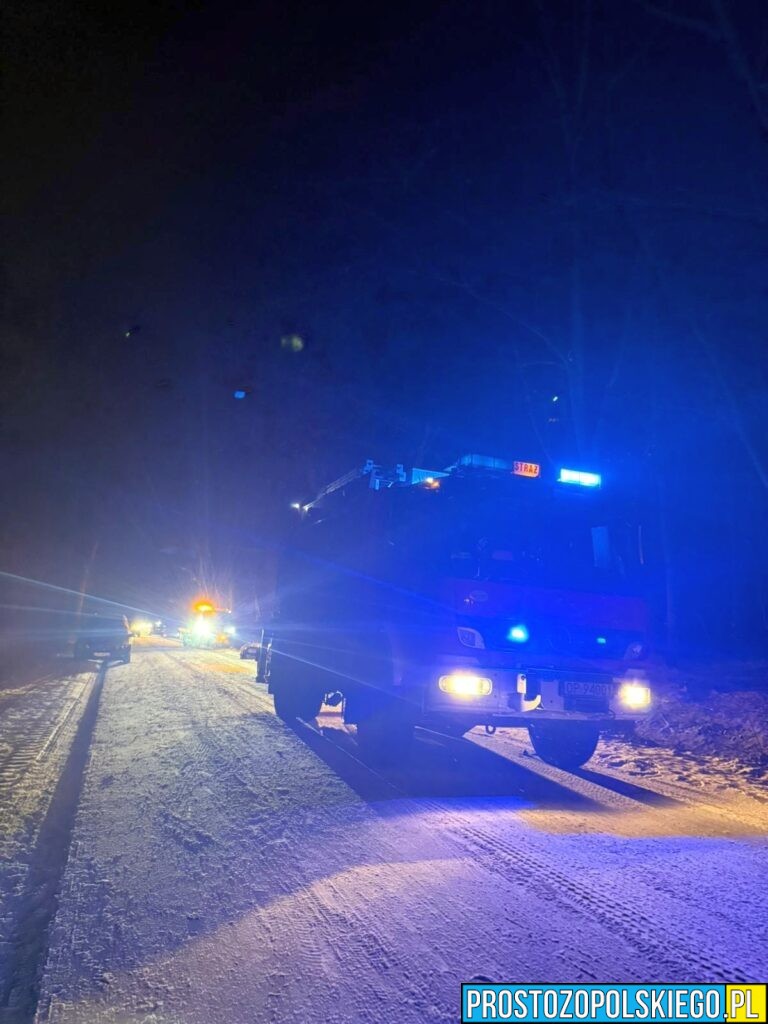 wypadek taksówki, wypadek masów, wypadek gmina łubniany, wypadek koło&nbsp;masowa, taksówka uderzyła w&nbsp;drzewo, wypadek taksówki, kierował obcokrajowiec,