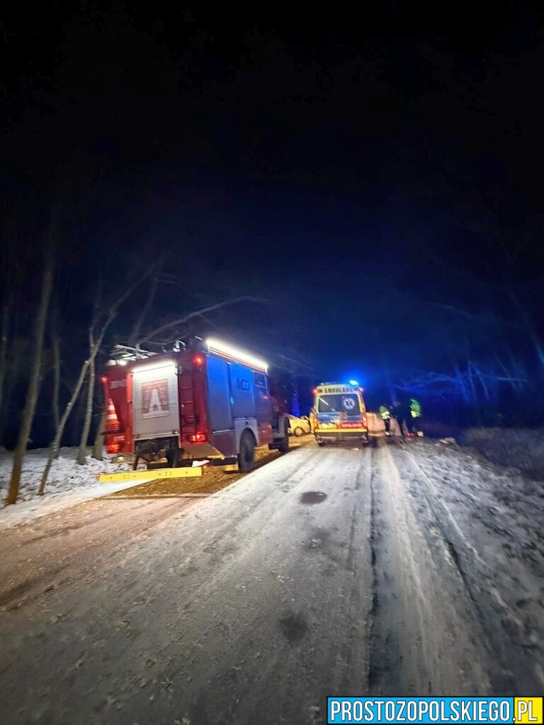 wypadek taksówki, wypadek masów, wypadek gmina łubniany, wypadek koło&nbsp;masowa, taksówka uderzyła w&nbsp;drzewo, wypadek taksówki, kierował obcokrajowiec,