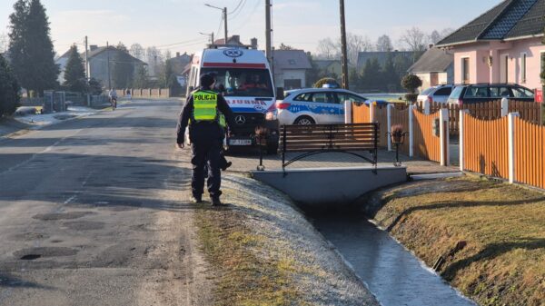 Brutalne zabójstwo w Kadłubie pod Strzelcami Opolskimi. Dwie osoby zginęły od ciosów siekierą. Obława za 17-latkiem