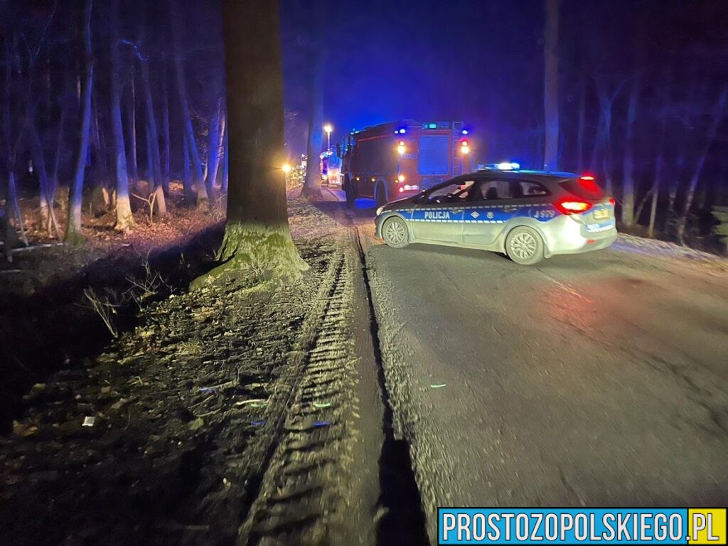 Wykolejenie lokomotywy między Opolem a&nbsp;Suchym Borem. Odcinek całkowicie zamknięty