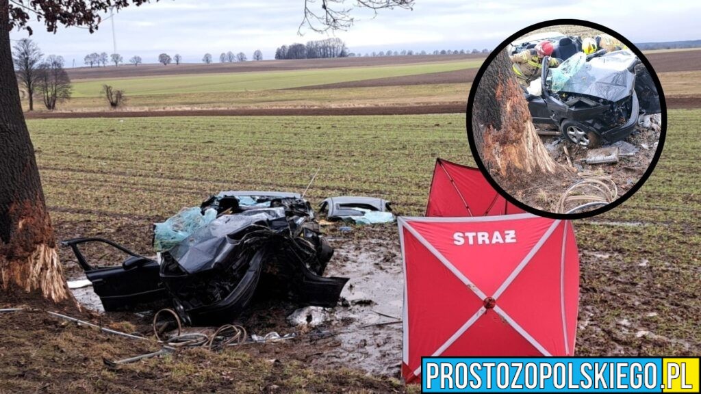 Śmiertelny wypadek na DW487. 37-letnia kobieta zginęła po uderzeniu w drzewo