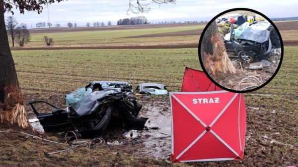 Śmiertelny wypadek na DW487. 37-letnia kobieta zginęła po uderzeniu w drzewo
