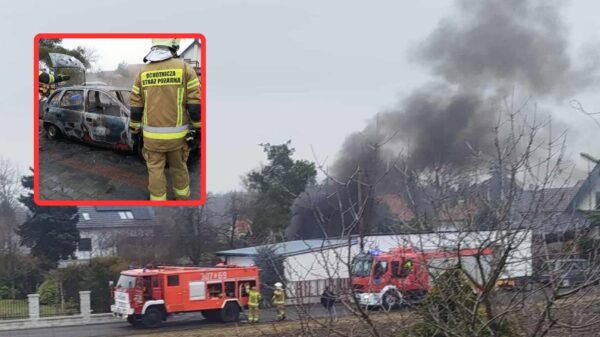Pożar samochodu w Ochodzach. Auto spłonęło na prywatnej posesji