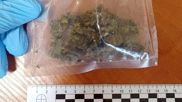 narkotyki zatrzymana kobieta drogówka kryminalni więzienie