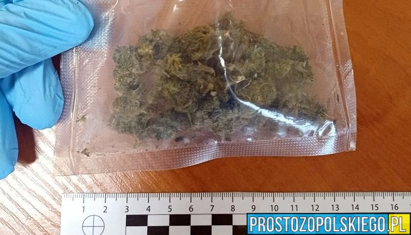 Strzelce Opolskie: 33-latka zatrzymana z dużą ilością narkotyków. Grozi jej do 10 lat więzienia