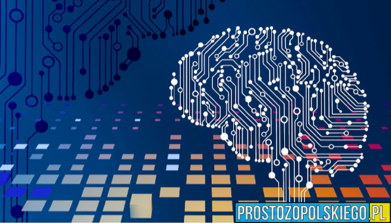 Ludzki atut czyli dlaczego w świecie sztucznej inteligencji Twoje emocje są warte fortunę
