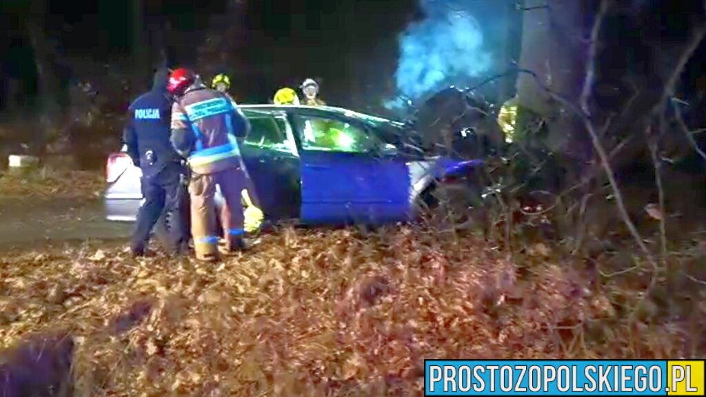 Wypadek między Starościnem a Siemysłowem. Kierowca uderzył w drzewo, strażacy użyli sprzętu hydraulicznego, by wydobyć kierowcę z wraku