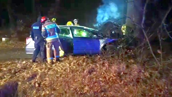 Wypadek między Starościnem a Siemysłowem. Kierowca uderzył w drzewo, strażacy użyli sprzętu hydraulicznego, by wydobyć kierowcę z wraku