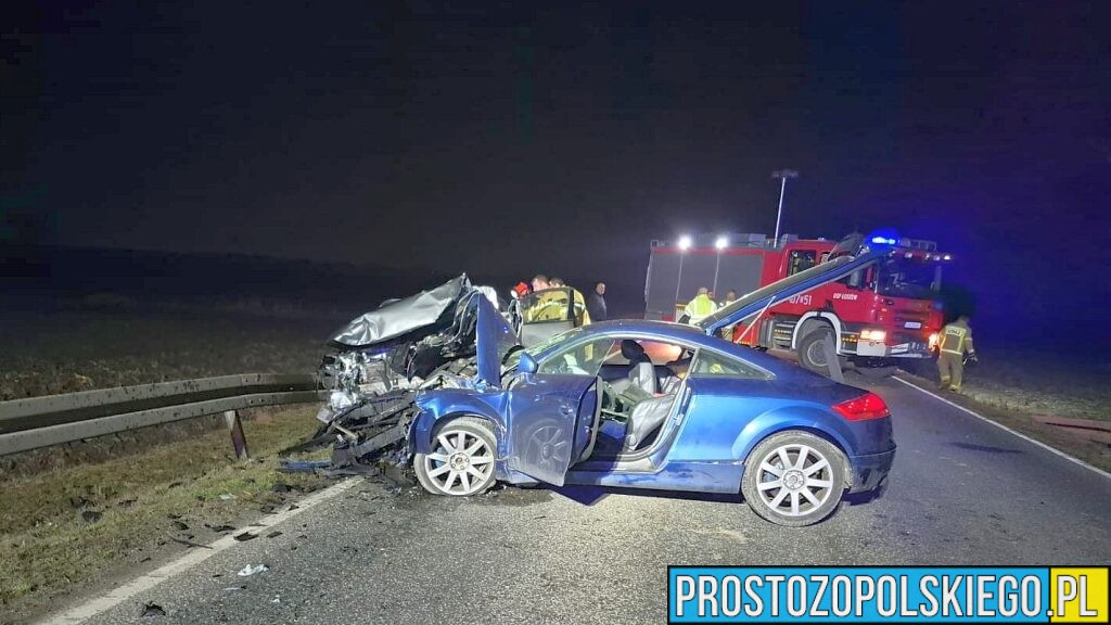 Czołowe zderzenie na DK94 w Strzelnikach. Dwóch kierowców rannych, droga była zablokowana