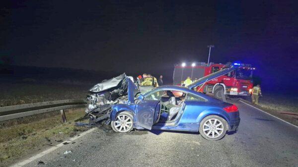 Czołowe zderzenie na DK94 w Strzelnikach. Dwóch kierowców rannych, droga była zablokowana