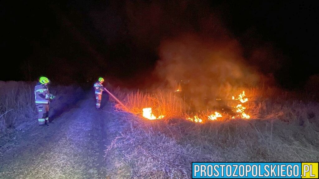 Wypalanie traw to ogromne zagrożenie. Grożą wysokie kary nawet do 30 tysięcy złotych