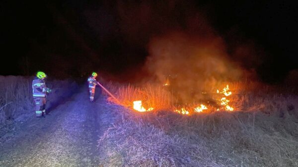 Wypalanie traw to ogromne zagrożenie. Grożą wysokie kary nawet do 30 tysięcy złotych
