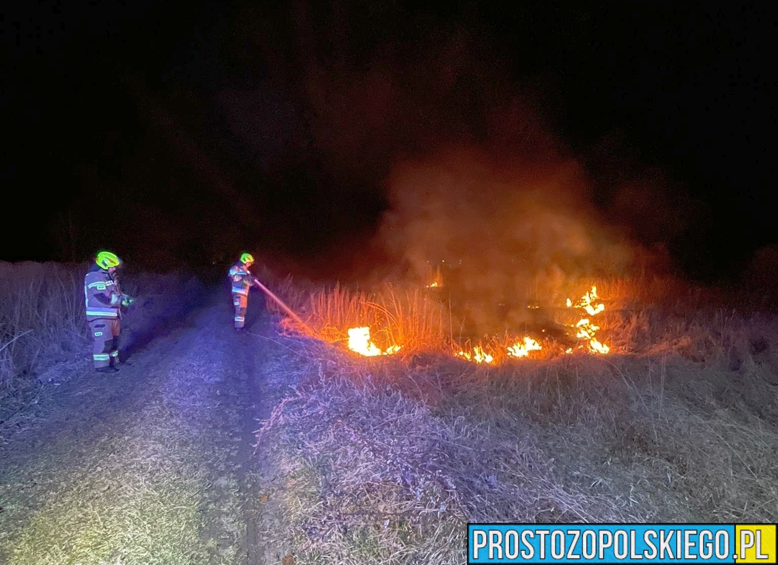 Wypalanie traw to ogromne zagrożenie. Grożą wysokie kary nawet do 30 tysięcy złotych