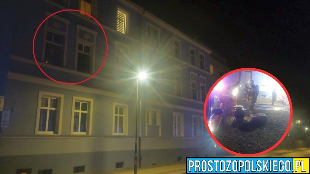 Pożar mieszkania w Brzegu. Ewakuowano mieszkańców i zwierzęta
