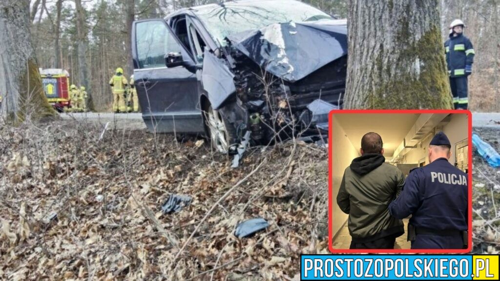 Pijany kierowca uderzył w drzewo. 5-letnie dziecko walczy o życie, sprawca trafił do aresztu