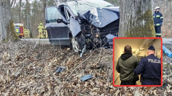 Pijany kierowca uderzył w drzewo. 5-letnie dziecko walczy o życie, sprawca trafił do aresztu