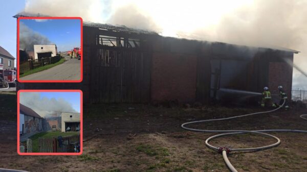 Pożar zabudowań gospodarczych w Dębowej. 8 zastępów straży pożarnej w akcji