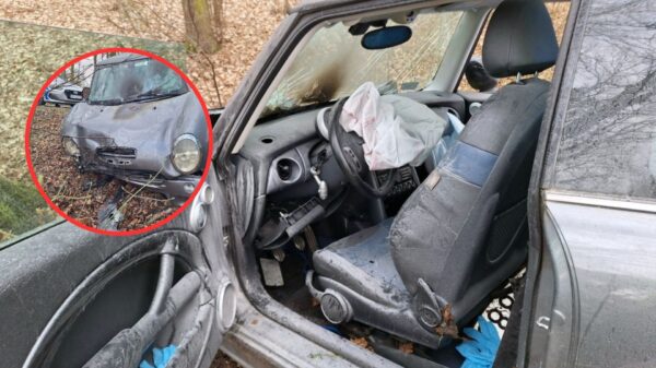 Auto wypadło z drogi i uderzyło w drzewo. Wypadek na trasie Korfantów–Kuropas.68-latka zabrana do szpitala