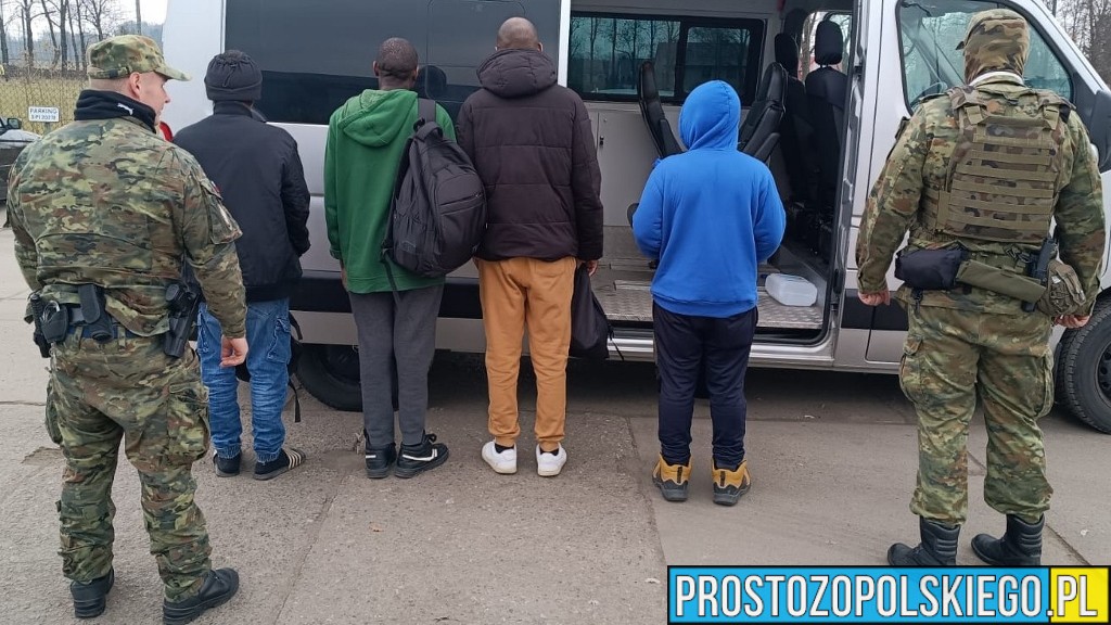 80 cudzoziemców skontrolowanych w firmie. 12 osób musi opuścić Polskę