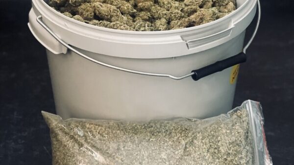 Nysa: 4 kilogramy marihuany i 7 tysięcy złotych zabezpieczone. 43-latek trafił do aresztu