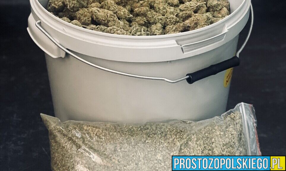 Nysa: 4 kilogramy marihuany i 7 tysięcy złotych zabezpieczone. 43-latek trafił do aresztu