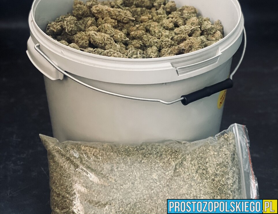 Nysa: 4 kilogramy marihuany i 7 tysięcy złotych zabezpieczone. 43-latek trafił do aresztu