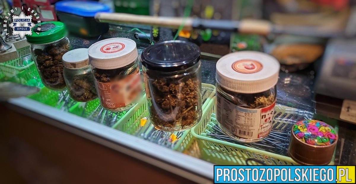 Poszukiwany listem gończym zatrzymany w Ozimku. Policja znalazła narkotyki i uprawę konopi