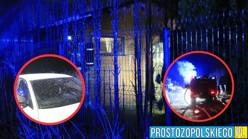 Pożar budynku gospodarczego w Opolu. Spłonęła część drewnianej konstrukcji i kilkadziesiąt tui