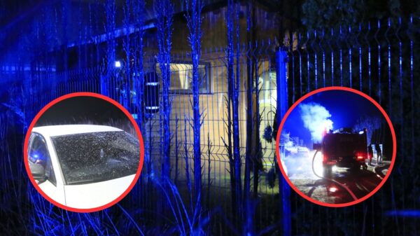 Pożar budynku gospodarczego w Opolu. Spłonęła część drewnianej konstrukcji i kilkadziesiąt tui