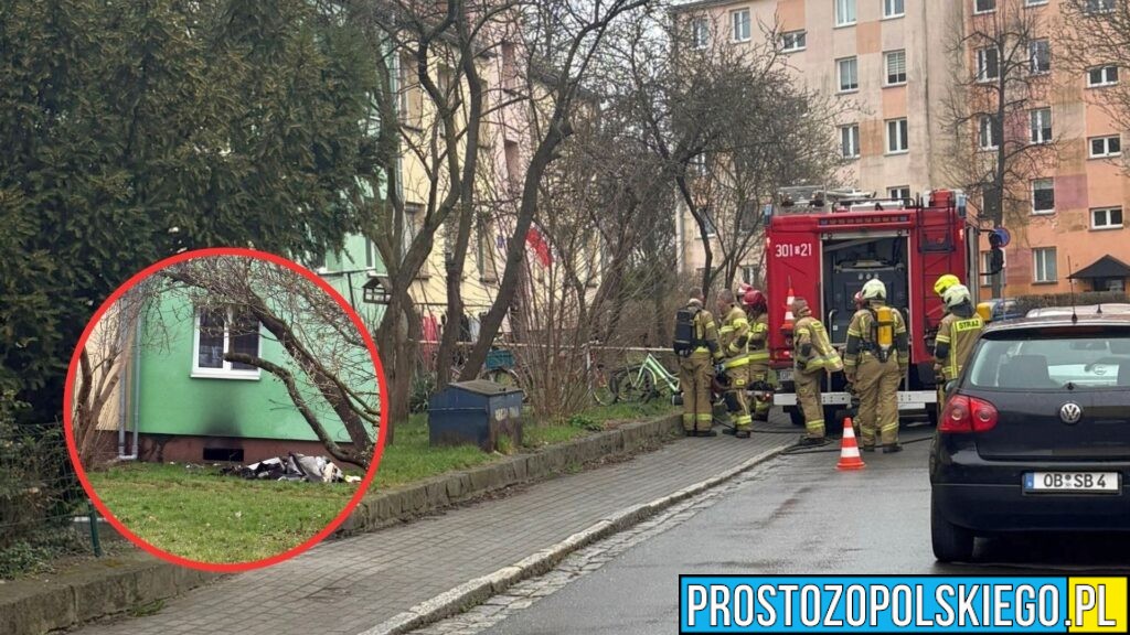 Pożar piwnicy w Opolu. Interweniowało kilka zastępów straży pożarnej(WIDEO)