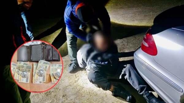 Seria włamań na Opolszczyźnie. Policja zatrzymała 56-latka, który usłyszał aż 18 zarzutów