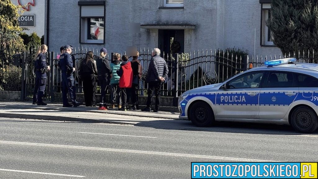 10-latek pogryziony przez psa w Opolu. Na szczęście skończyło się tylko na uszkodzonym ubraniu