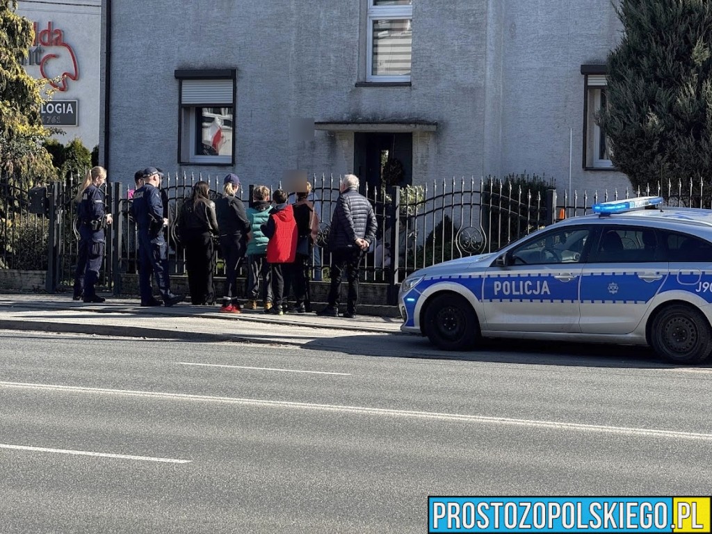 10-latek pogryziony przez psa w Opolu. Na szczęście skończyło się tylko na uszkodzonym ubraniu