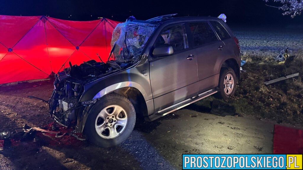 Śmiertelny wypadek w gminie Jemielnica. Samochód uderzył w drzewo