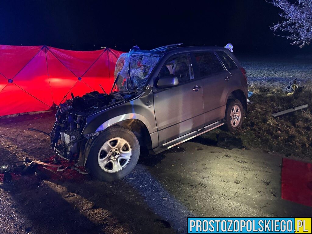 Śmiertelny wypadek w&nbsp;gminie Jemielnica. Samochód uderzył w&nbsp;drzewo