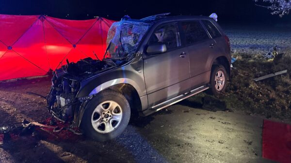Śmiertelny wypadek w gminie Jemielnica. Samochód uderzył w drzewo