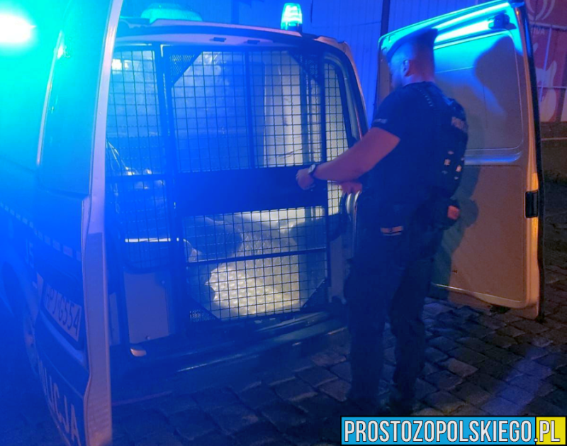 Brutalna napaść na 83-latkę w gminie Zawadzkie. Sprawca zatrzymany przez policję