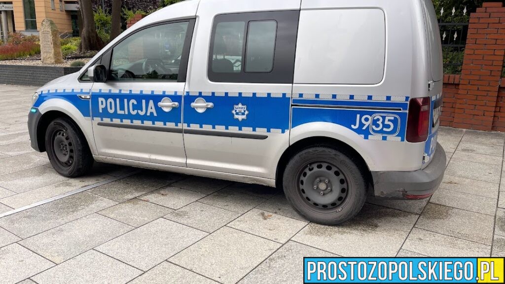 Brzeg: 15-miesięczne dziecko wyszło ze żłobka bez opieki. Sprawę wyjaśnia policja